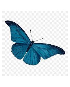 Australia Post Shipping For Magento 2