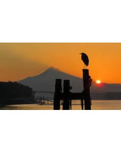 DeliveryDate Schedular For Magento 2